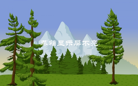 蒸箱显示屏不亮