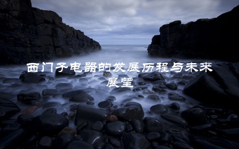 西门子电器的发展历程与未来展望