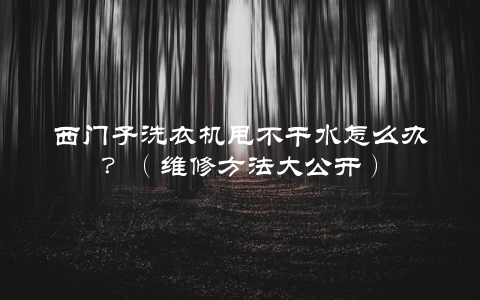 西门子洗衣机甩不干水怎么办？（维修方法大公开）