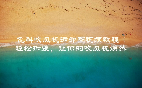 飞科吹风机拆卸图视频教程（轻松拆装，让你的吹风机焕然一新）