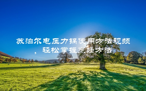 苏泊尔电压力锅使用方法视频，轻松掌握烹饪方法