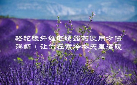 骆驼碳纤维电暖器的使用方法详解（让你在寒冷冬天里温暖如春）
