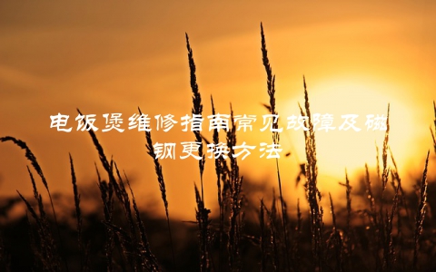 电饭煲维修指南常见故障及磁钢更换方法