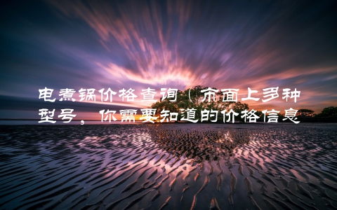 电煮锅价格查询（市面上多种型号，你需要知道的价格信息）