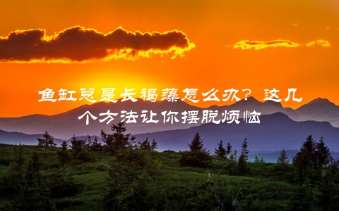 鱼缸总是长褐藻怎么办？这几个方法让你摆脱烦恼
