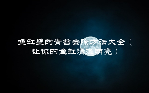 鱼缸壁的青苔去除方法大全（让你的鱼缸清澈明亮）