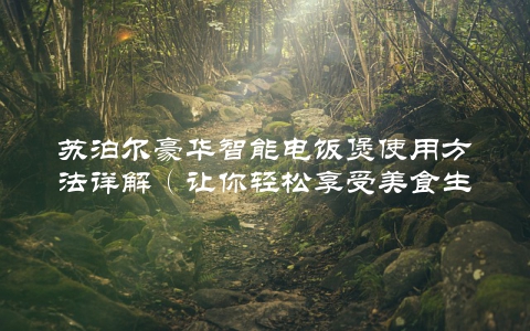 苏泊尔豪华智能电饭煲使用方法详解（让你轻松享受美食生活）
