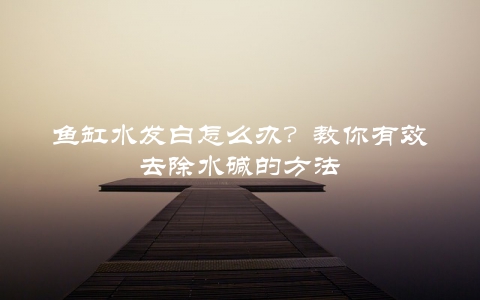 鱼缸水发白怎么办？教你有效去除水碱的方法
