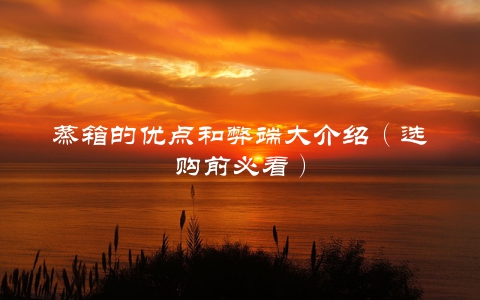 蒸箱的优点和弊端大介绍（选购前必看）