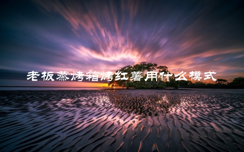 老板蒸烤箱烤红薯用什么模式