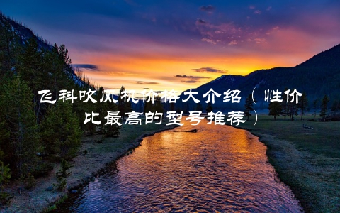 飞科吹风机价格大介绍（性价比最高的型号推荐）