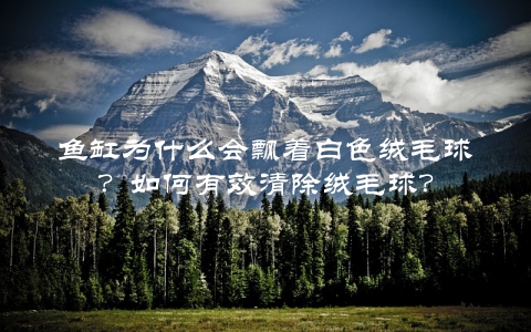 鱼缸为什么会飘着白色绒毛球？如何有效清除绒毛球？