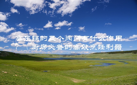 高压锅的三个阀门有什么作用？（厨房必备的高效烹饪利器）