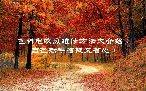 飞科电吹风维修方法大介绍（自己动手省钱又省心）