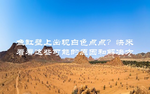 鱼缸壁上出现白色点点？快来看看这些可能的原因和解决方法