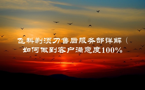飞科剃须刀售后服务部详解（如何做到客户满意度100%）