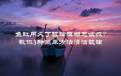鱼缸用久了玻璃模糊怎么办？教你3种简单方法清洁玻璃