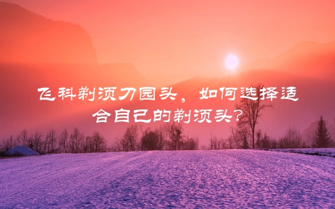 飞科剃须刀园头，如何选择适合自己的剃须头？