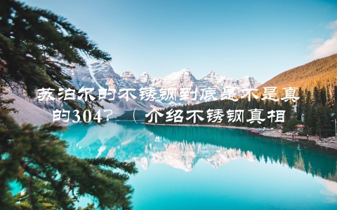 苏泊尔的不锈钢到底是不是真的304？（介绍不锈钢真相，让你买到放心的厨具）