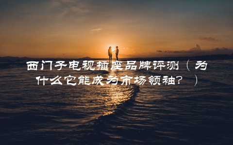 西门子电视插座品牌评测（为什么它能成为市场领袖？）