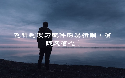 飞科剃须刀配件购买指南（省钱又省心）