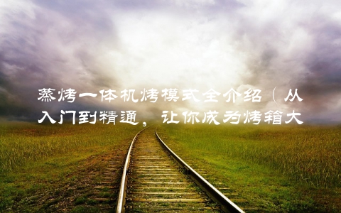 蒸烤一体机烤模式全介绍（从入门到精通，让你成为烤箱大师）
