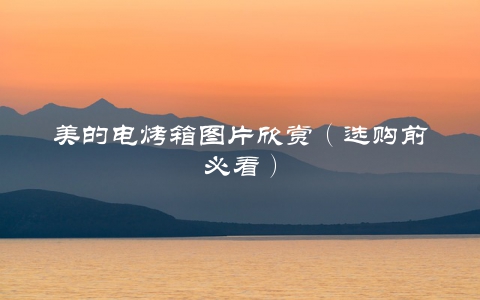 美的电烤箱图片欣赏（选购前必看）