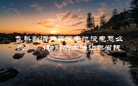 飞科剃须刀买来电池没电怎么办？（3种解决方法让你省钱又放心）