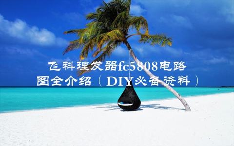 飞科理发器fc5808电路图全介绍（DIY必备资料）