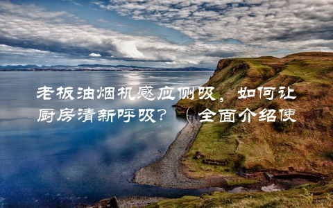 老板油烟机感应侧吸，如何让厨房清新呼吸？（全面介绍使用方法和效果）