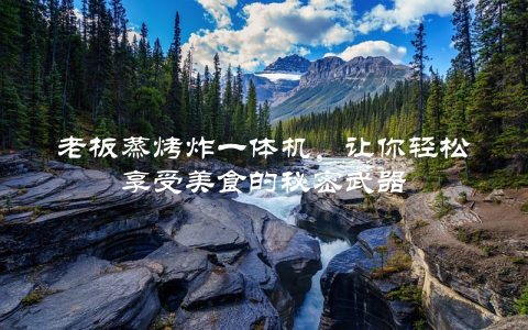 老板蒸烤炸一体机，让你轻松享受美食的秘密武器