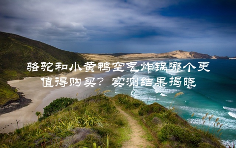 骆驼和小黄鸭空气炸锅哪个更值得购买？实测结果揭晓