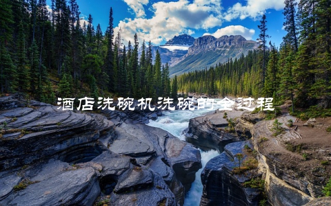 酒店洗碗机洗碗的全过程