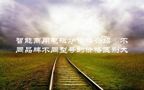智能商用电磁炉价格介绍（不同品牌不同型号的价格区别大）