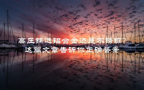 高压锅选铝合金还是不锈钢？这篇文章告诉你正确答案