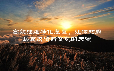 高效油烟净化装置，让你的厨房变成清新空气的天堂