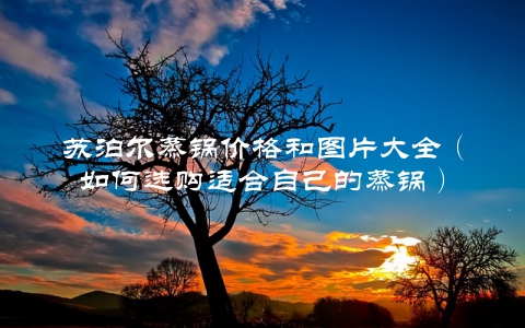 苏泊尔蒸锅价格和图片大全（如何选购适合自己的蒸锅）