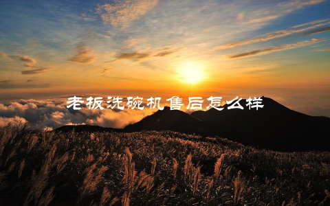老板洗碗机售后怎么样