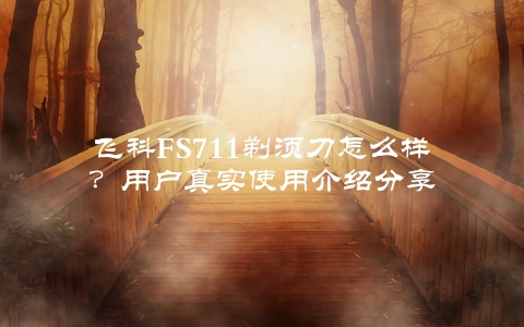 飞科FS711剃须刀怎么样？用户真实使用介绍分享