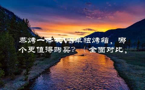 蒸烤一体机VS单独烤箱，哪个更值得购买？（全面对比，选出最适合你的烹饪神