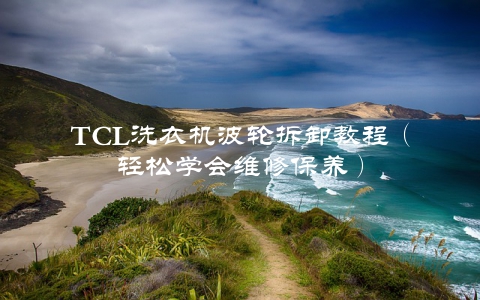 TCL洗衣机波轮拆卸教程（轻松学会维修保养）