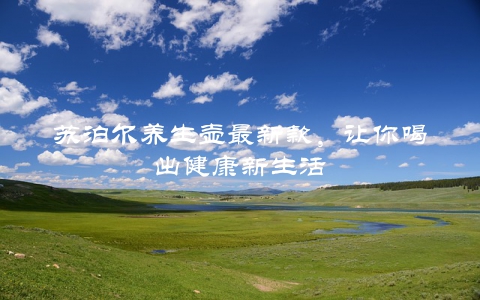 苏泊尔养生壶最新款，让你喝出健康新生活