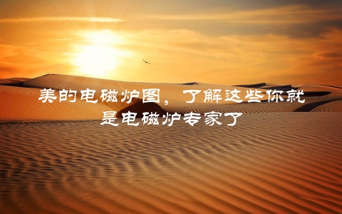 美的电磁炉图，了解这些你就是电磁炉专家了