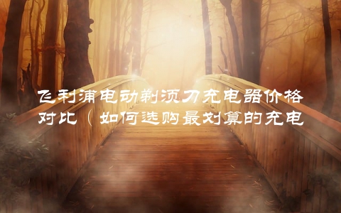 飞利浦电动剃须刀充电器价格对比（如何选购最划算的充电器）