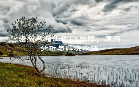 老板蒸箱出现E5故障，原因分析与解决方法