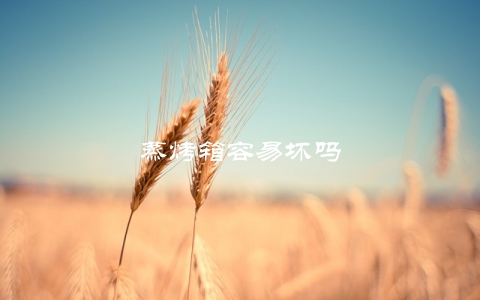 蒸烤箱容易坏吗