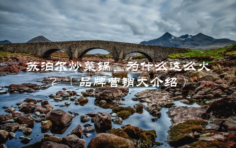 苏泊尔炒菜锅，为什么这么火？（品牌营销大介绍）