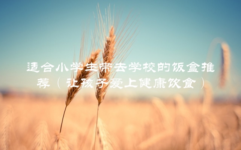 适合小学生带去学校的饭盒推荐（让孩子爱上健康饮食）