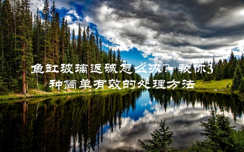 鱼缸玻璃返碱怎么办？教你3种简单有效的处理方法