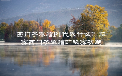 西门子蒸箱P1代表什么？解密西门子蒸箱的秘密功能
